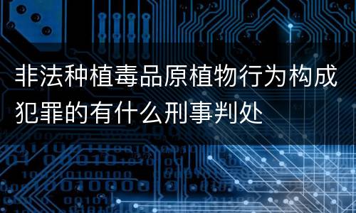 非法种植毒品原植物行为构成犯罪的有什么刑事判处