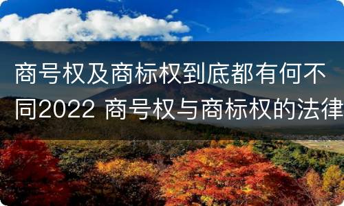 商号权及商标权到底都有何不同2022 商号权与商标权的法律冲突与解决