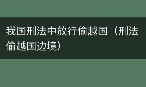 我国刑法中放行偷越国（刑法偷越国边境）