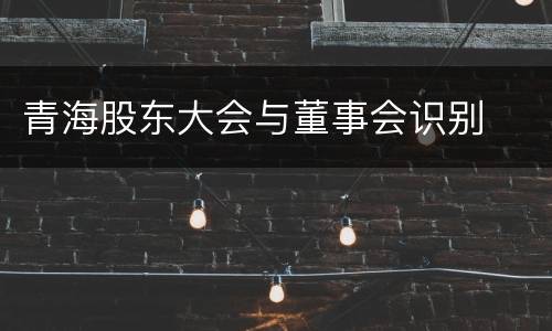 青海股东大会与董事会识别