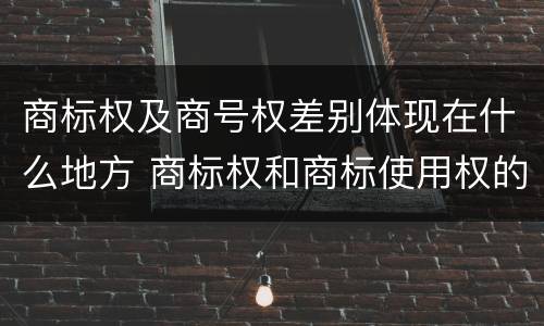 商标权及商号权差别体现在什么地方 商标权和商标使用权的区别