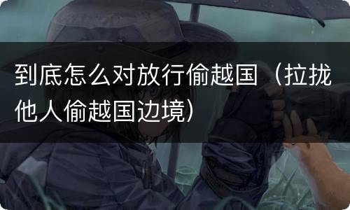 到底怎么对放行偷越国（拉拢他人偷越国边境）