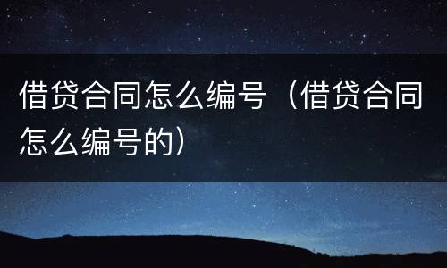 借贷合同怎么编号（借贷合同怎么编号的）