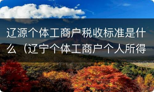辽源个体工商户税收标准是什么（辽宁个体工商户个人所得税）