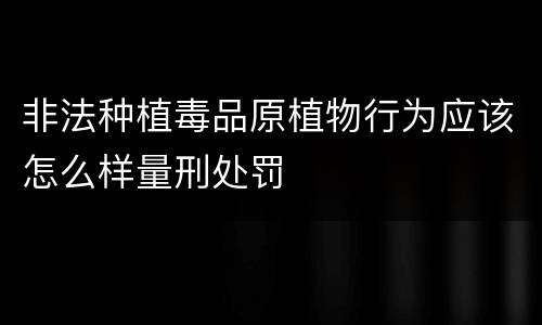 非法种植毒品原植物行为应该怎么样量刑处罚