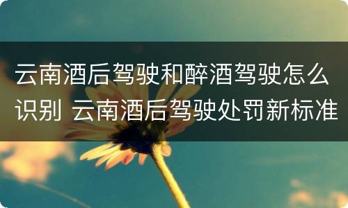 云南酒后驾驶和醉酒驾驶怎么识别 云南酒后驾驶处罚新标准