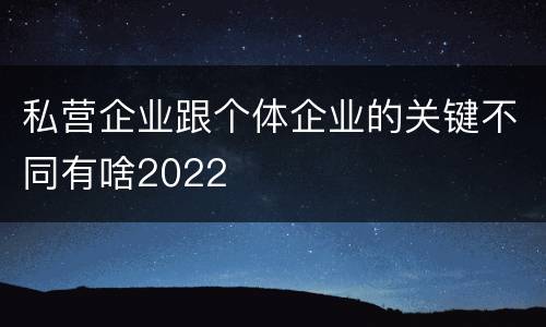 私营企业跟个体企业的关键不同有啥2022