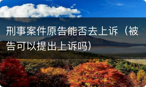 刑事案件原告能否去上诉（被告可以提出上诉吗）