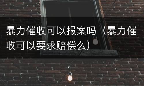 暴力催收可以报案吗（暴力催收可以要求赔偿么）