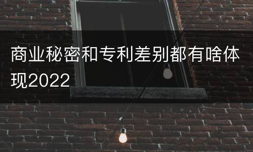 商业秘密和专利差别都有啥体现2022