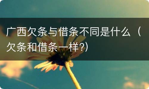 广西欠条与借条不同是什么（欠条和借条一样?）