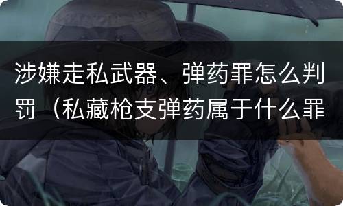 涉嫌走私武器、弹药罪怎么判罚（私藏枪支弹药属于什么罪）