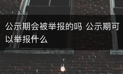 公示期会被举报的吗 公示期可以举报什么