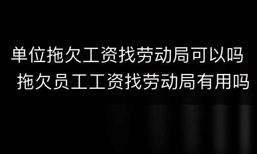单位拖欠工资找劳动局可以吗 拖欠员工工资找劳动局有用吗