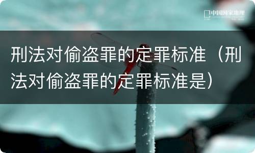 刑法对偷盗罪的定罪标准（刑法对偷盗罪的定罪标准是）