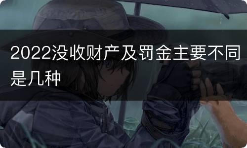 2022没收财产及罚金主要不同是几种