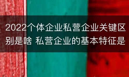 2022个体企业私营企业关键区别是啥 私营企业的基本特征是什么