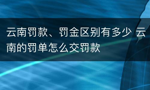 云南罚款、罚金区别有多少 云南的罚单怎么交罚款