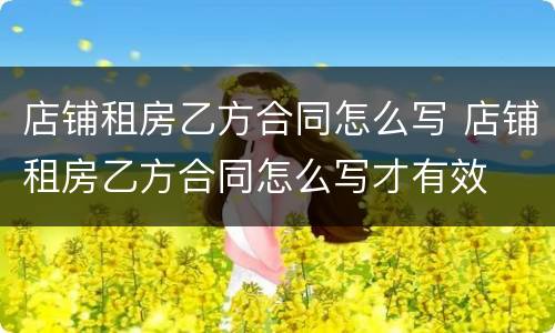 店铺租房乙方合同怎么写 店铺租房乙方合同怎么写才有效