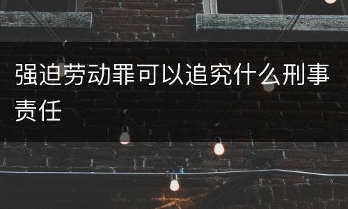 强迫劳动罪可以追究什么刑事责任