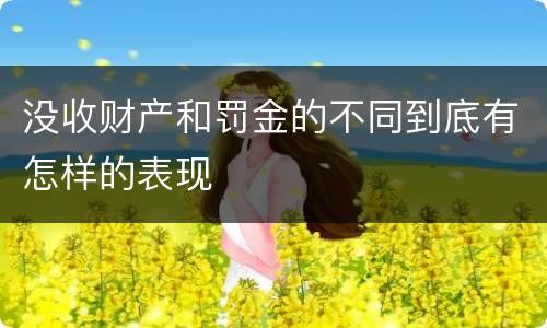 没收财产和罚金的不同到底有怎样的表现