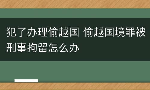 犯了办理偷越国 偷越国境罪被刑事拘留怎么办