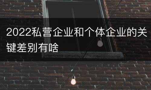 2022私营企业和个体企业的关键差别有啥