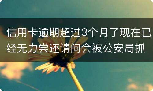 信用卡逾期超过3个月了现在已经无力尝还请问会被公安局抓去坐牢吗