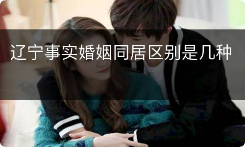 辽宁事实婚姻同居区别是几种