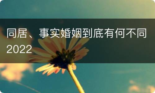 同居、事实婚姻到底有何不同2022