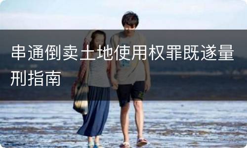 串通倒卖土地使用权罪既遂量刑指南