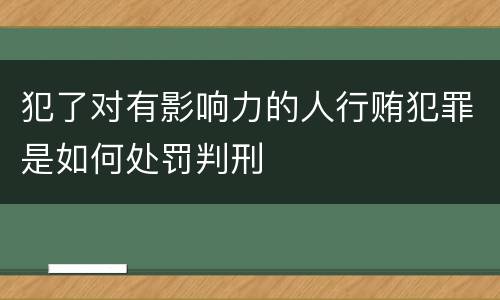 犯了对有影响力的人行贿犯罪是如何处罚判刑