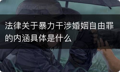 法律关于暴力干涉婚姻自由罪的内涵具体是什么