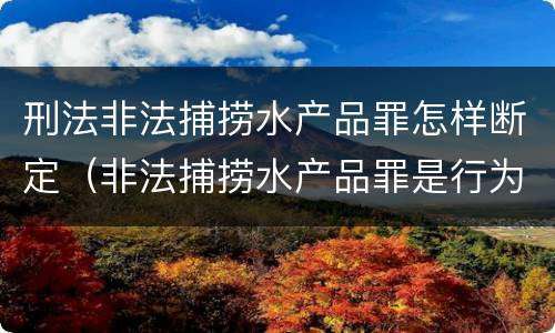 刑法非法捕捞水产品罪怎样断定（非法捕捞水产品罪是行为犯吗）