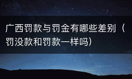 广西罚款与罚金有哪些差别（罚没款和罚款一样吗）