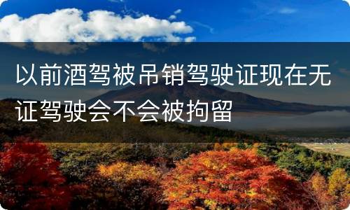 以前酒驾被吊销驾驶证现在无证驾驶会不会被拘留