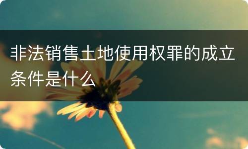 非法销售土地使用权罪的成立条件是什么