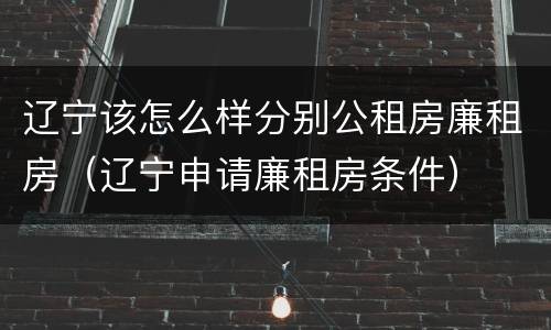 辽宁该怎么样分别公租房廉租房（辽宁申请廉租房条件）