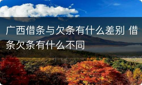 广西借条与欠条有什么差别 借条欠条有什么不同