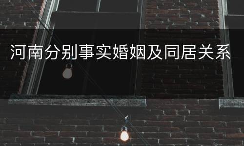 河南分别事实婚姻及同居关系