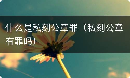 什么是私刻公章罪（私刻公章有罪吗）