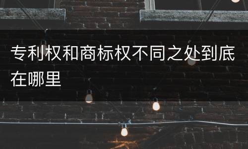 专利权和商标权不同之处到底在哪里