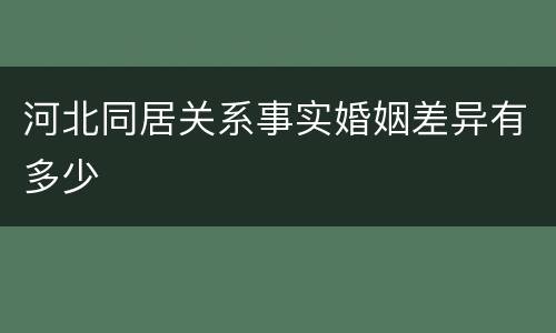 河北同居关系事实婚姻差异有多少