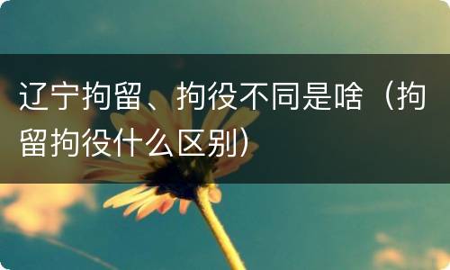 辽宁拘留、拘役不同是啥（拘留拘役什么区别）