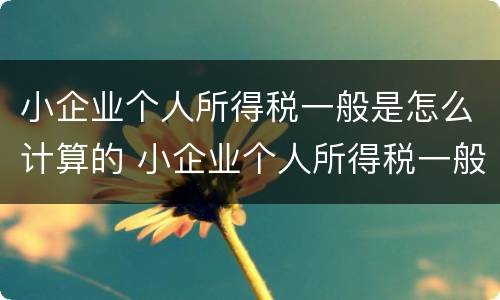 小企业个人所得税一般是怎么计算的 小企业个人所得税一般是怎么计算的呢
