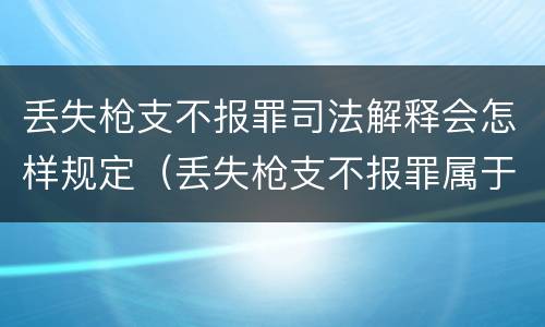 丢失枪支不报罪司法解释会怎样规定（丢失枪支不报罪属于过失犯罪吗）