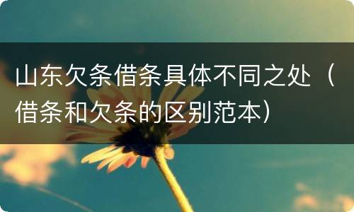 山东欠条借条具体不同之处（借条和欠条的区别范本）