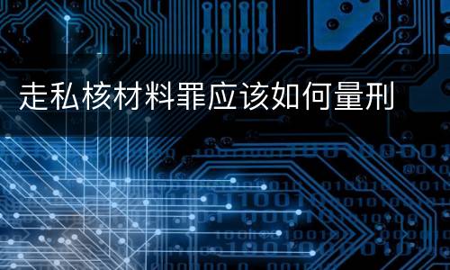 走私核材料罪应该如何量刑