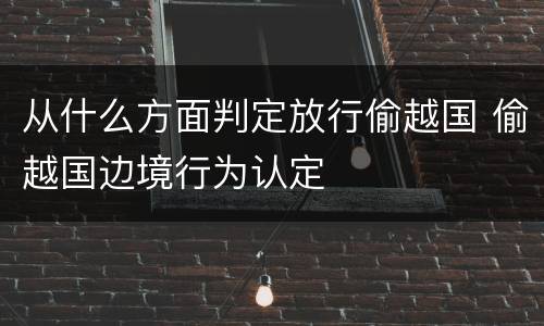 从什么方面判定放行偷越国 偷越国边境行为认定