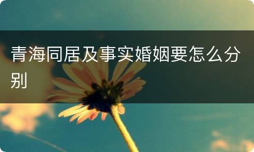 青海同居及事实婚姻要怎么分别